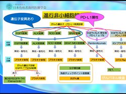 2020年10月18日（日） 日本有病者歯科医療学会web学術研修会