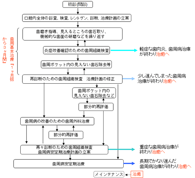 歯周病治療の流れ